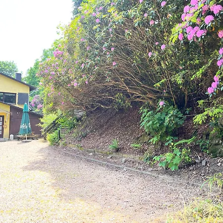 Rivendell I3 Guest house *