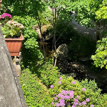 Πανσιόν Rivendell I3