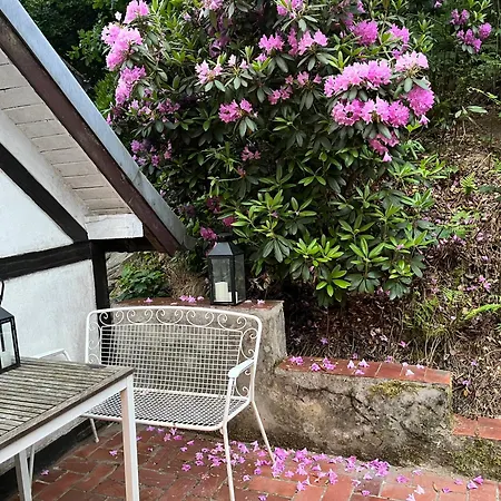 بيت ضيافة Rivendell I3 *