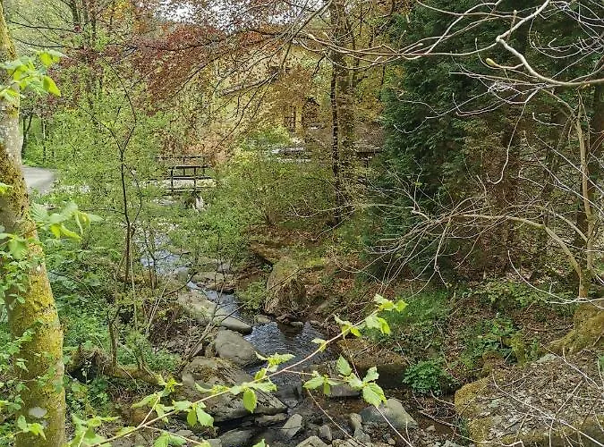 Rivendell I3 * Monschau