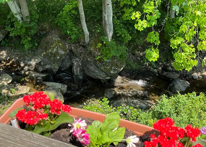 Pensión Rivendell I3 Monschau